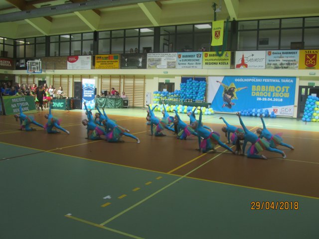 turta 534